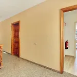 New! Ideal Flat For Groups To Work Or Surf * Corralejo